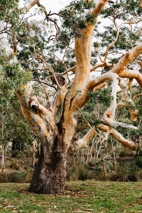 Dunkeld Studio Accommodation - Hotels Melbourne 22