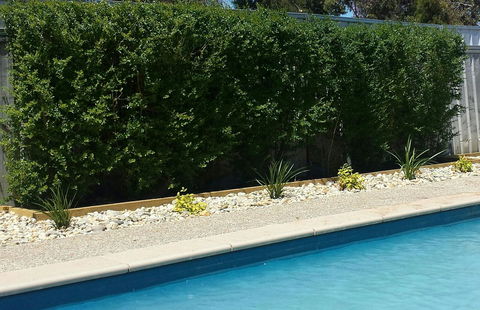 Robinvale Bridge Motel - Hotels Melbourne 0