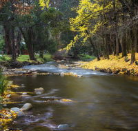 Goldfield Holiday Units - Hotels Melbourne