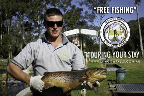 Lithgow Falls Marysville - Hotels Melbourne 14