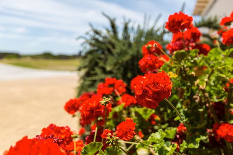 Cottages For Couples - Hotels Melbourne 13