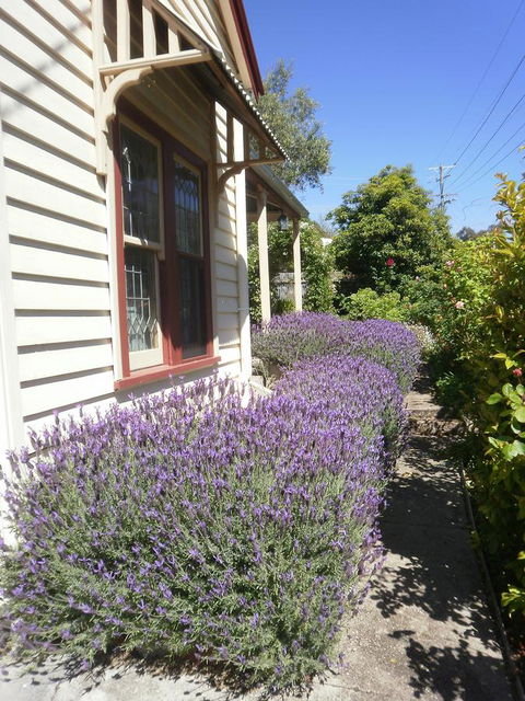 Miss Pym's Cottage - Hotels Melbourne 44
