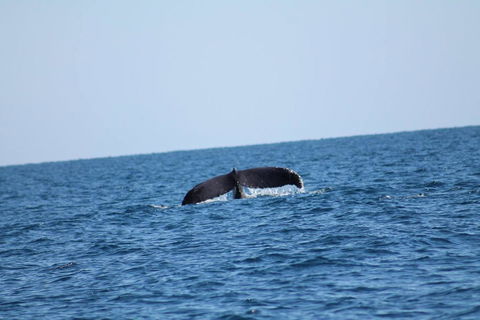 The Cove Holiday Village - Hotels Melbourne 1