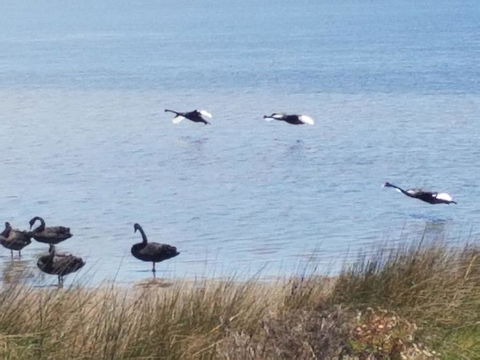 The DOLPHIN PLACE - Hotels Melbourne 0