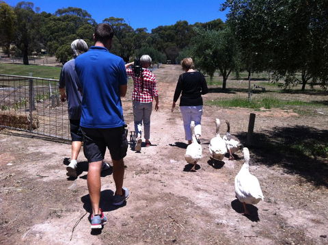 The Farm Willunga - Hotels Melbourne 1