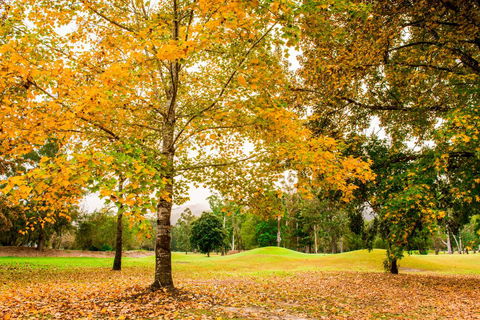 The Retreat At Wisemans - Hotels Melbourne 1