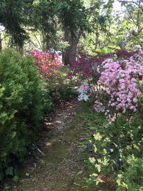 The Wentworth Retreat - Hotels Melbourne 3