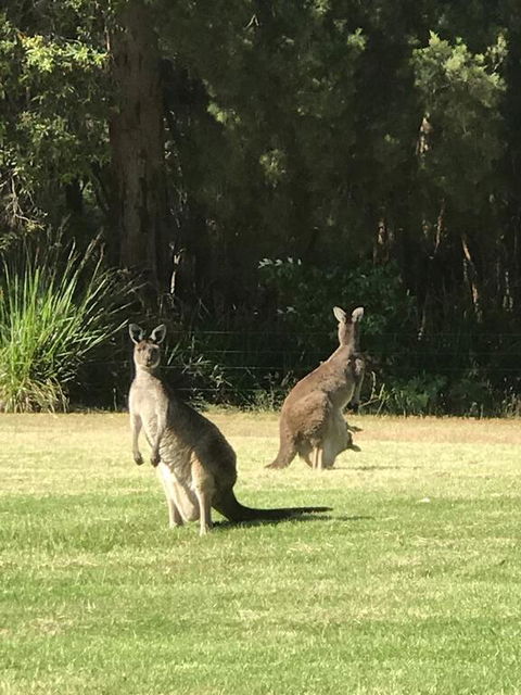 Tinglewood Cabins - Hotels Melbourne 2