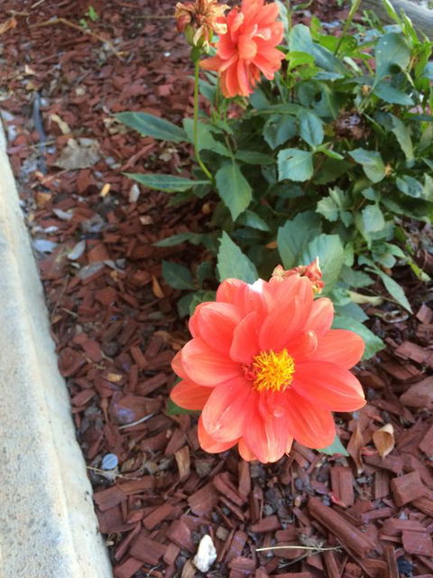 Tumut Valley Motel - Hotels Melbourne 1