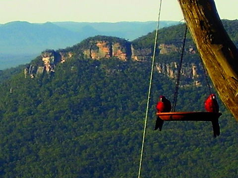 Valley Of The Waters B&B - Hotels Melbourne 3