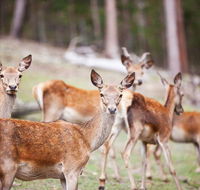 Villa Cervi Property - Hotels Melbourne