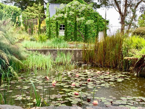 Waterhouse - Hotels Melbourne 1