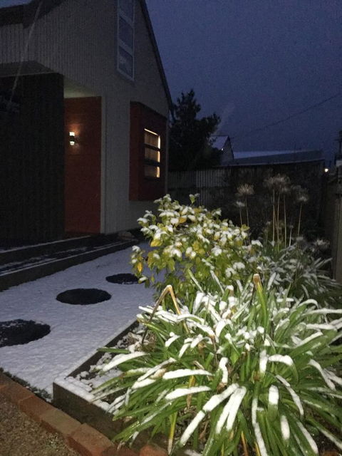 Daydream Cottage - Hotels Melbourne 17