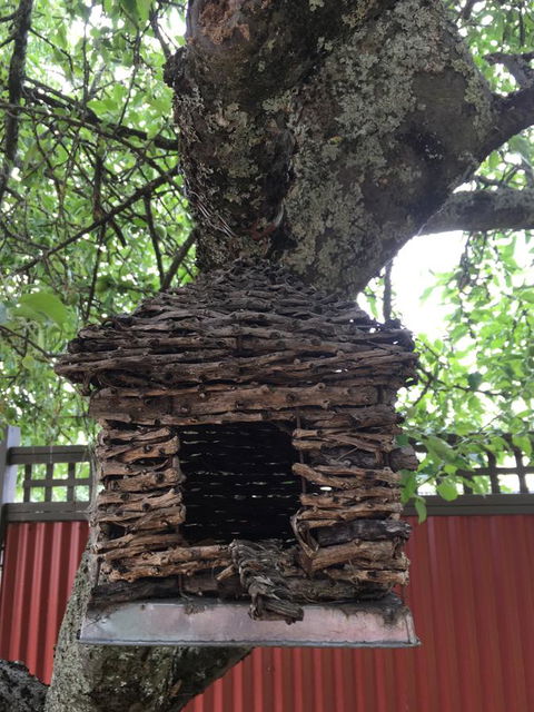 Daydream Cottage - Hotels Melbourne 18