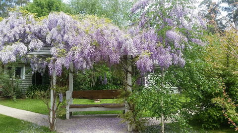 Amelina Cottages - Hotels Melbourne 0