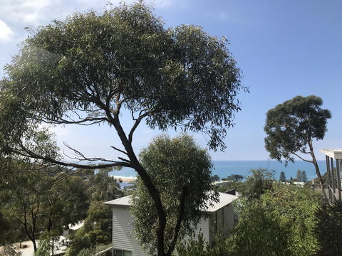 Lorne Sea View Terrace House - Hotels Melbourne 26