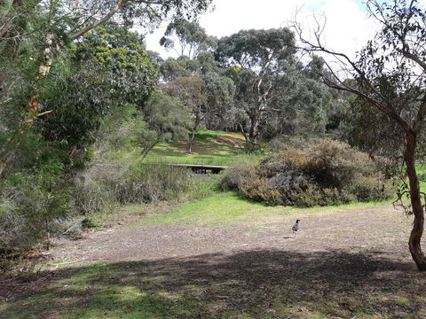 Elevated Holiday House Overlooks Tranquil Wetlands - Hotels Melbourne 11