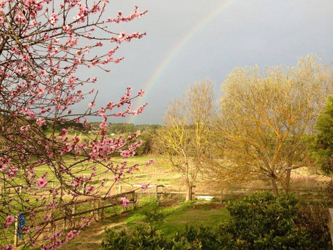 Australian Home Away @ Wonga Park Brushy Creek - Hotels Melbourne 19