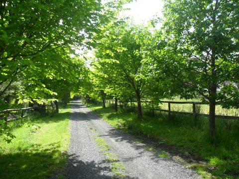 Australian Home Away @ Wonga Park Brushy Creek - Hotels Melbourne 0