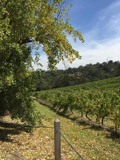 Australian Home Away @ Wonga Park Brushy Creek - Hotels Melbourne 1