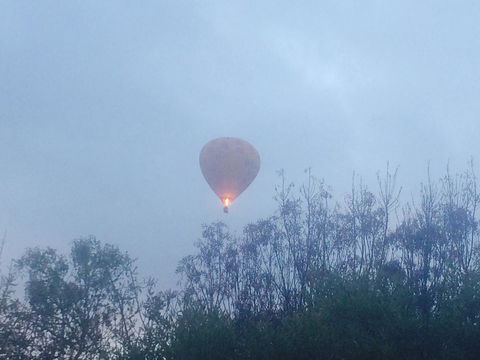 Australian Home Away @ Wonga Park Brushy Creek - Hotels Melbourne 21