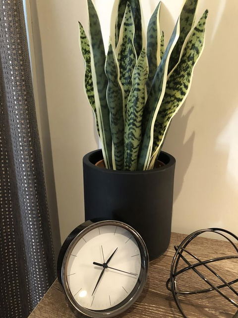 Minni Gums - Hotels Melbourne 26