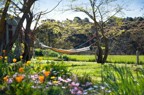 Cabrito - Hotels Melbourne 3