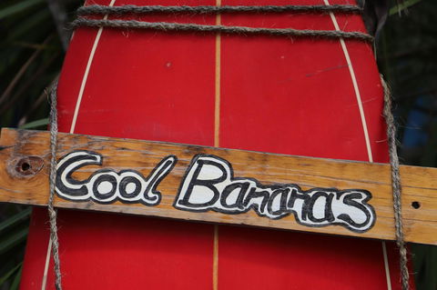 Cool Bananas Backpackers - Hotels Melbourne 41