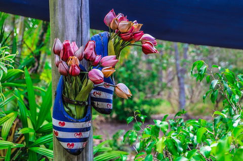 Cool Bananas Backpackers - Hotels Melbourne 26