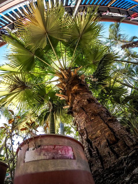 Cool Bananas Backpackers - Hotels Melbourne 14