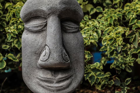 Cool Bananas Backpackers - Hotels Melbourne 23