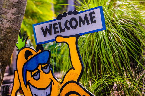 Cool Bananas Backpackers - Hotels Melbourne 37