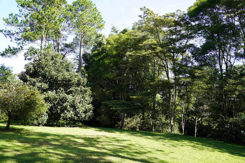 McCarthy Grove Maleny - Hotels Melbourne 2