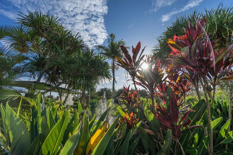 Currumbin Sands On The Beach - Hotels Melbourne 9