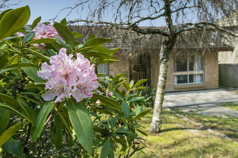 Wentworth Rose - Hotels Melbourne 2