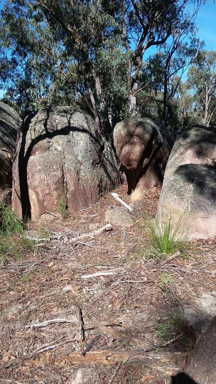 Windswept Country Retreat - Hotels Melbourne 3