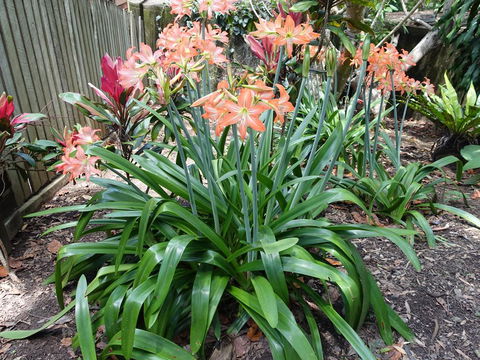 Winston Cottage - Hotels Melbourne 2