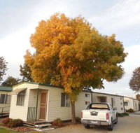 Wodonga Caravan  Cabin Park - Hotels Melbourne