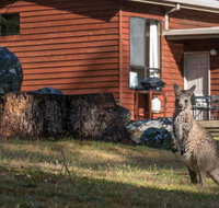 Wonderland Cottages - Hotels Melbourne