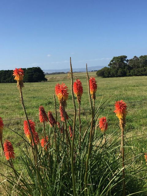 Yanakie Holiday House - Hotels Melbourne 2