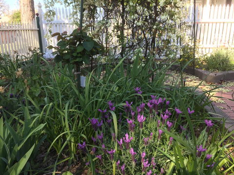 Yapera On Lucan - Hotels Melbourne 2