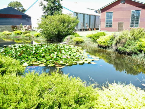 Yarragon Dairy Family Room - Hotels Melbourne 1