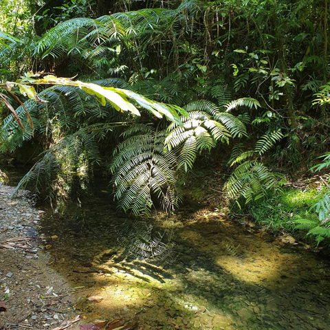 A Daintree Garden - Hotels Melbourne 4