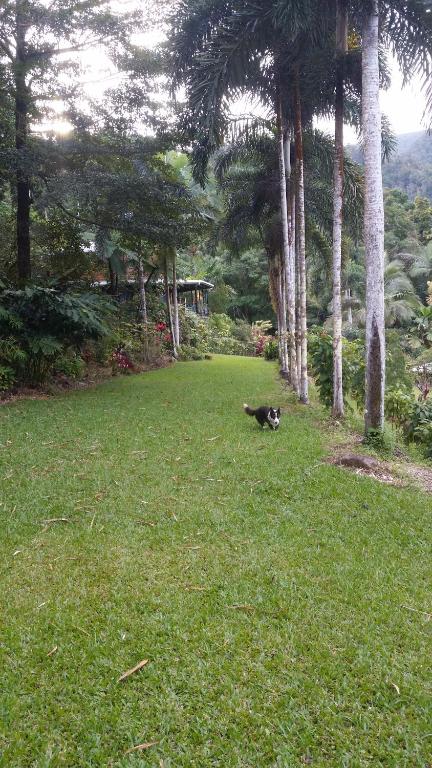 A Daintree Garden - Hotels Melbourne 1