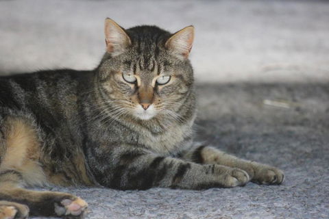 Avoca Park Equestrian Farmstay - Hotels Melbourne 4