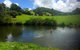 Maleny Springs Farm - thumb 34