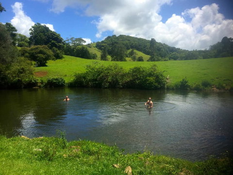 Maleny Springs Farm - Hotels Melbourne 34