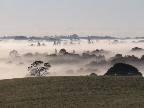 Maleny Springs Farm - Hotels Melbourne 22