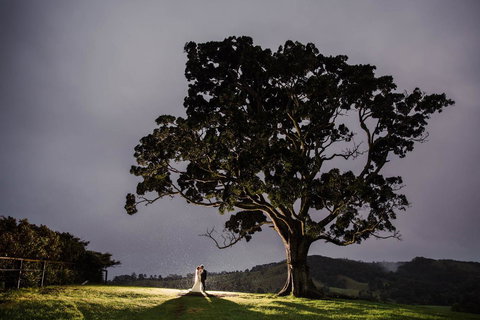 Maleny Springs Farm - Hotels Melbourne 16