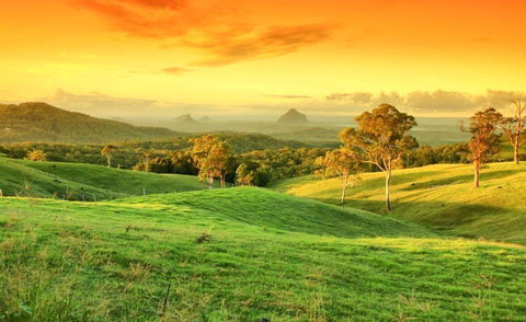 Maleny Springs Farm - Hotels Melbourne 20
